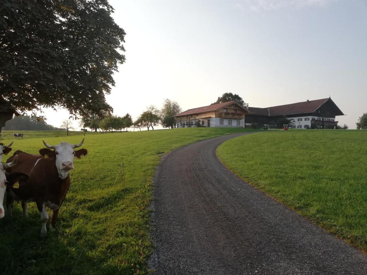 Ferienwohnung Sonnenhub Irschenberg Exterior foto